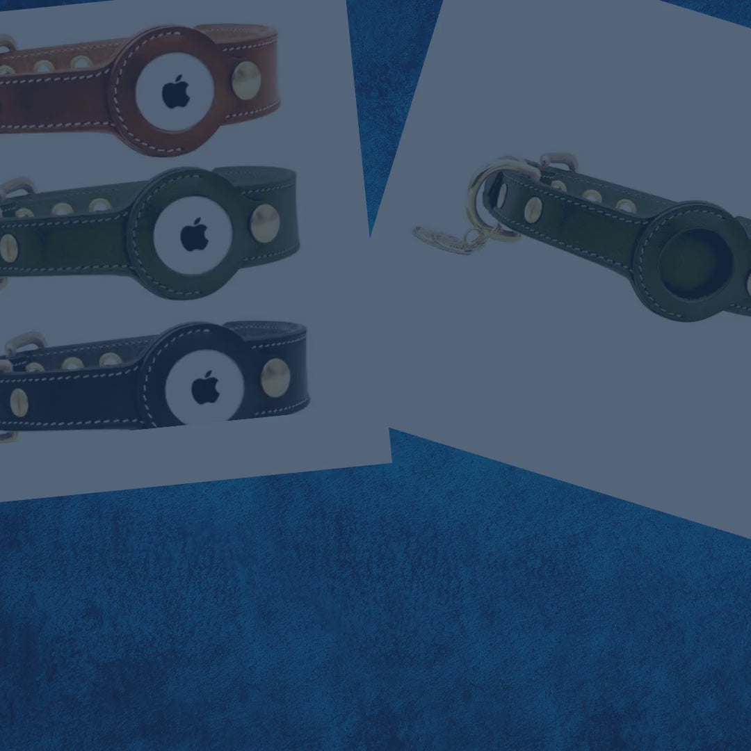 Echt Leder Hundehalsband für den Einsatz eines Apple Air Tag für den Welpen und mittelgroße Hunde by@Vidoo