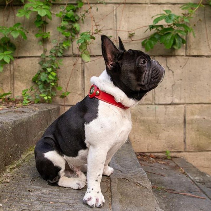 #product-name# - #shop-name#