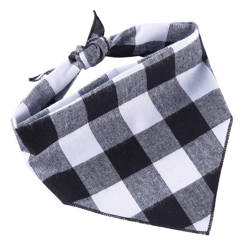 #product-name# - #shop-name#