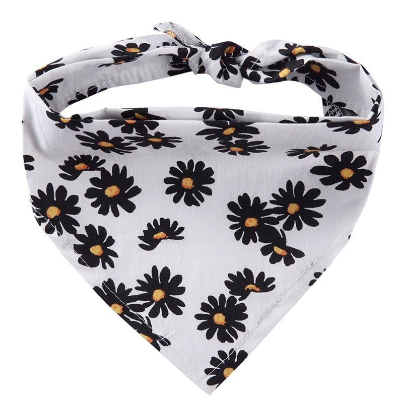 #product-name# - #shop-name#
