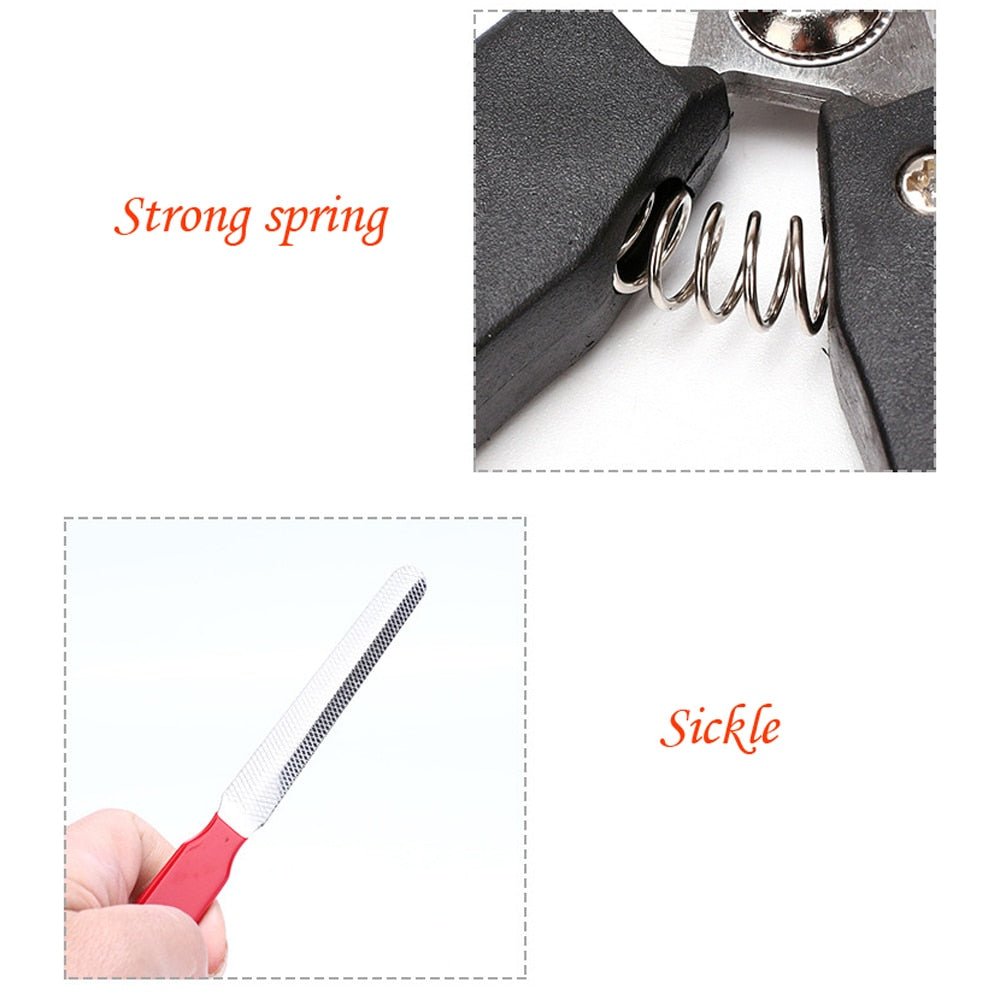 #product-name# - #shop-name#