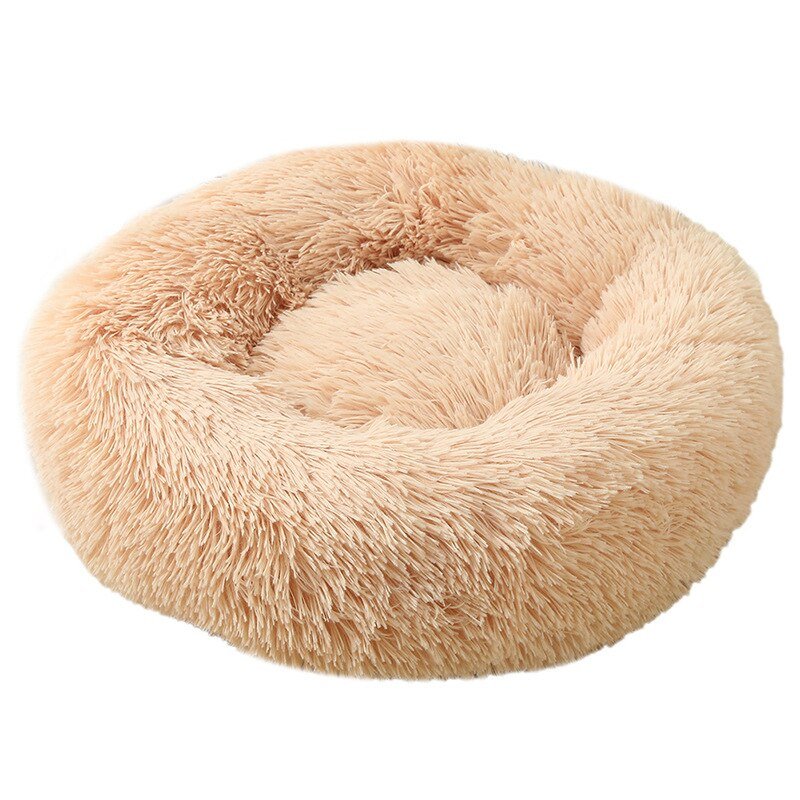 #product-name# - #shop-name#