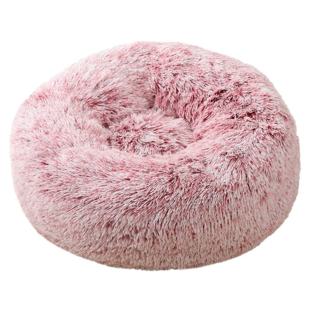 #product-name# - #shop-name#