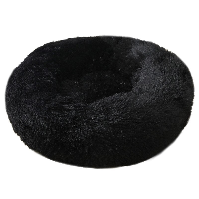 #product-name# - #shop-name#
