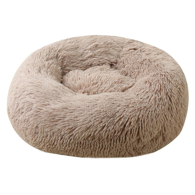 #product-name# - #shop-name#