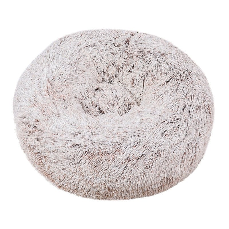 #product-name# - #shop-name#