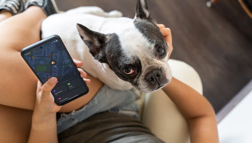 Apple AirTags vs. GPS für die Hundeortung: Welches System sollten Sie verwenden? - Rufus'n Team Shop