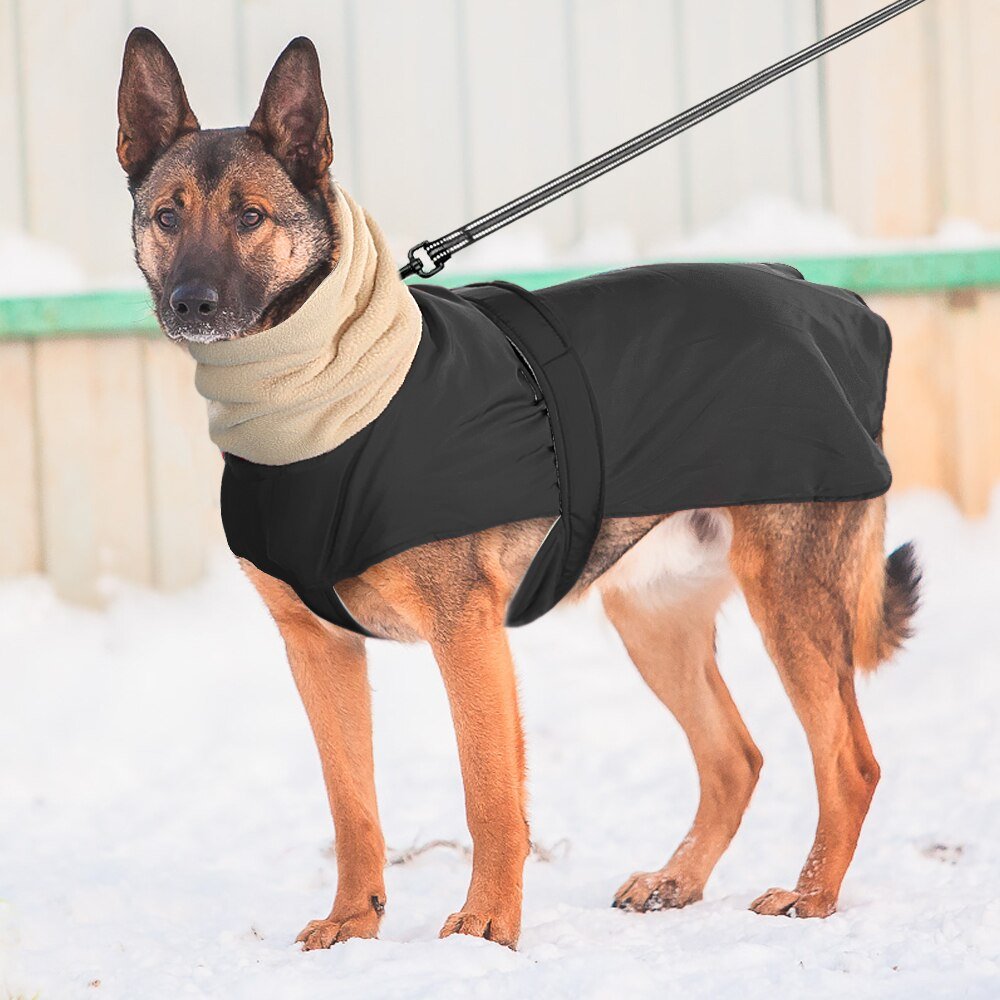 Warm Dog Jacket Reversible Fleece Winter Dog Vest for Cold Weather, Wa –  KOL PET